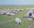 Impressionist Sean Wu Original Oil Painting, Sheep Resting on Green Pasture For Sale - Image 3 of 5