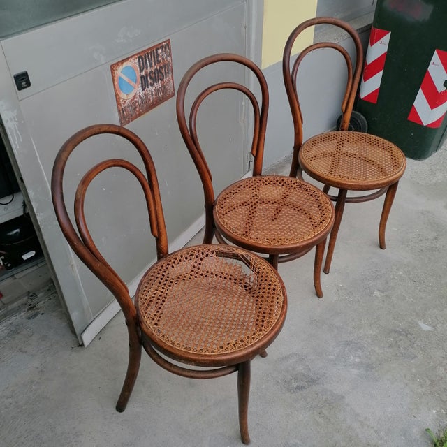 Wood Model No. 18 Chairs from Gebrüder Thonet and Wackerlin & C., 1980s, Set of 7 For Sale - Image 7 of 18