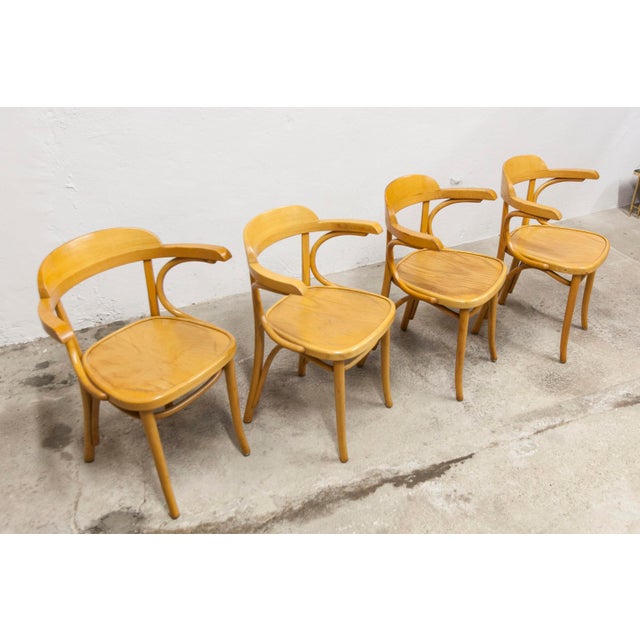 Vintage Bistro Armchairs, 1960s, Set of 4 For Sale - Image 9 of 18