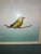 Realism Bird on a Swing Painting For Sale - Image 3 of 4