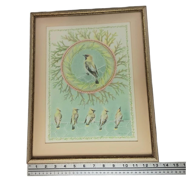 Cedar Waxing Birds Giclee Print Tamlyn Akins Soft Pastel Colors Mat Framed 13x17 For Sale - Image 13 of 16