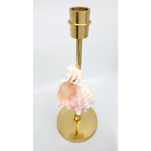 Brass Candlesticks Shells Seashells For Sale - Image 11 of 15