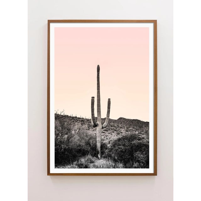 American Desert Saguaro Cactus With Pink Sunset Photograph – 32" X 48" For Sale - Image 3 of 5