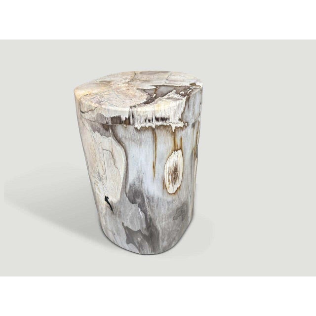 "Beautiful grey tones on this ancient high quality petrified wood side table. It’s fascinating how Mother Nature produces...