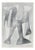 Ernst Bräuer, Abstract Form II, 1964, Lithograph and Ink For Sale