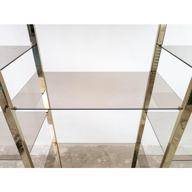 1970s Vintage Hollywood Regency Shelves from Belgo Chrom, 1975 For Sale - Image 5 of 15