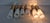 1960s Opal Glass and Brass Wall Sconces by Rolf Krüger for Paul Neuhaus Leuchten, Germany, 1960s, Set of 3 For Sale - Image 5 of 14