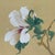 Vintage Original Hibiscus Bird Paintings Diptych Chinoiserie Gilt Frames For Sale - Image 10 of 12