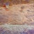 Contemporary Giampaolo Talani "Tracking the Whale" Oil on Board, Seascape, Tuscan Coastal Art, Italian Contemporary Art For Sale - Image 3 of 10
