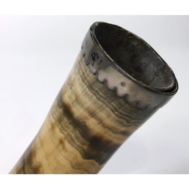 Antique Horn Vase With Stone Base For Sale - Image 4 of 6