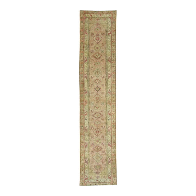 Turkish Anatolian Runner Rug 2'9" x 13'2" #20032 For Sale