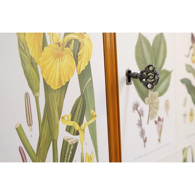 1940s Vintage Swedish Cabinet by Cam Lindman for Nordens Flora, 1940s For Sale - Image 5 of 11