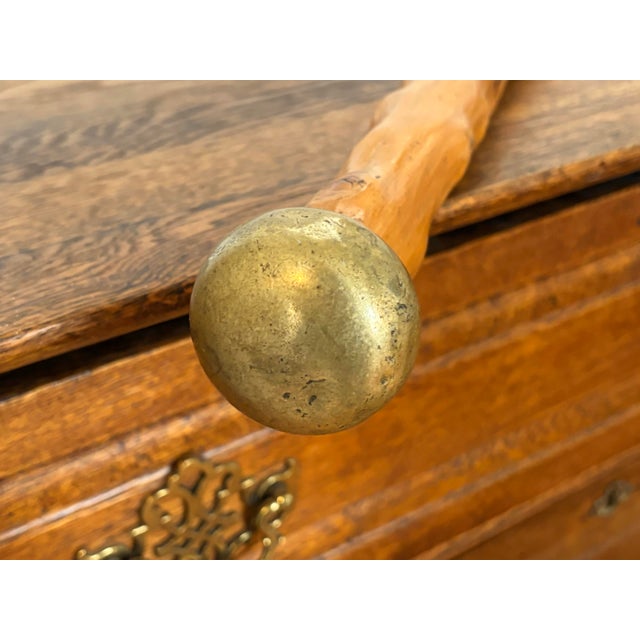 Rustic European Knobby Cane Walking Stick With Brass Ball Topper For Sale - Image 3 of 7