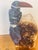 1960s 1960s Semiprecious Carved Stone Bird on Impressive Citrine Clusyer Geode Specimen For Sale - Image 5 of 5