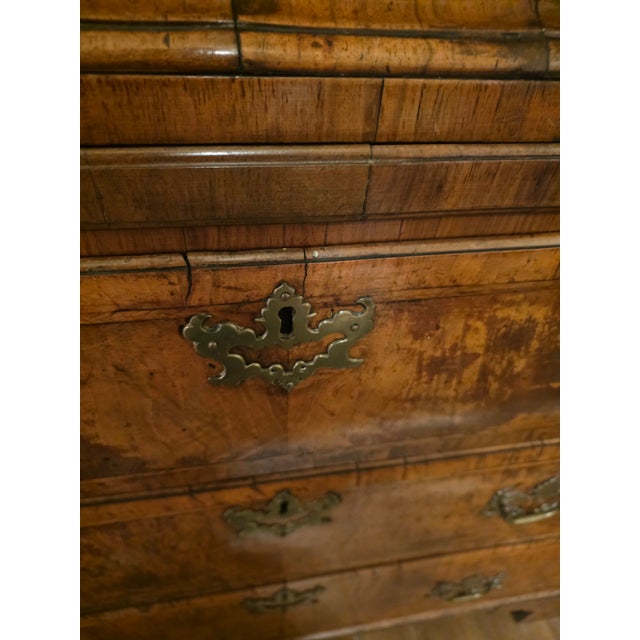 Early 18th Century Burr Walnut Chest on Chest From Duke of Dorset Walmer Castle For Sale - Image 10 of 15