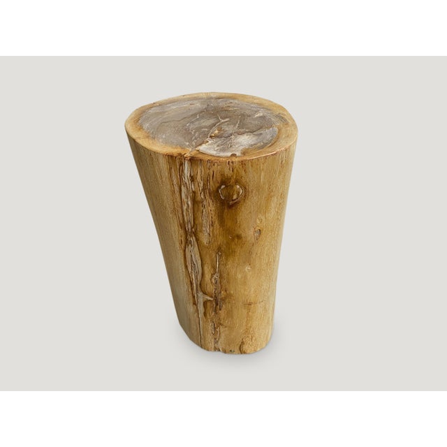 Contemporary Andrianna Shamaris Minimalist Column Style Petrified Wood Side Table For Sale - Image 3 of 5