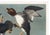 Paper John James Audubon Golden-Eye Duck From Birds of America, Vintage Art Print Reproduction, 24″ × 18″ For Sale - Image 7 of 10