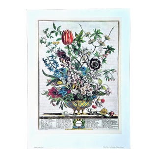 1980s Vintage Robert Furber February Botanical From "Twelve Months of Flowers” Pierpont Morgan Library Print For Sale