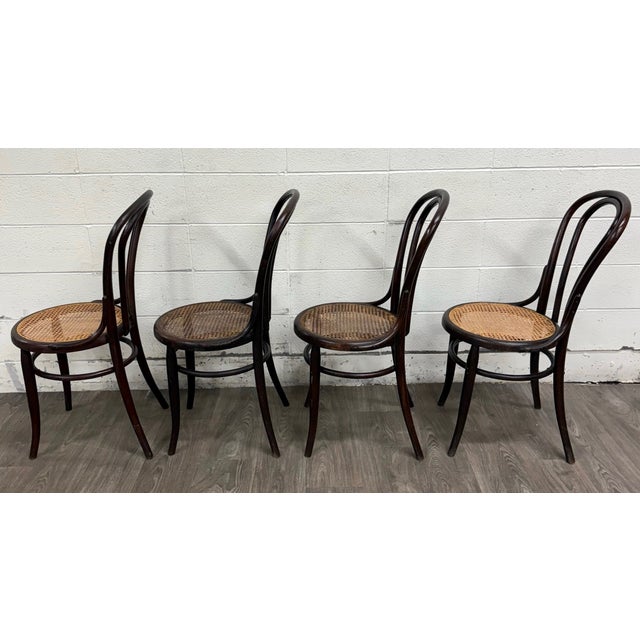 Antique Thonet Style Bentwood Caned Seat Dining Chairs - Set of 4 For Sale - Image 10 of 12