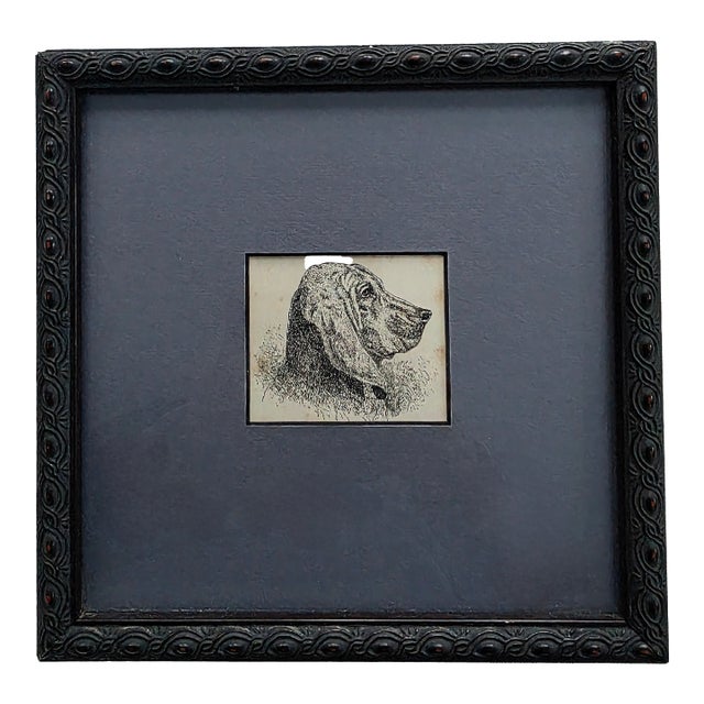 Framed Pen & Ink Drawing For Sale