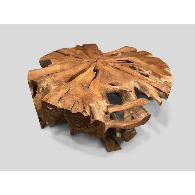 2010s Andrianna Shamaris Organic Teak Wood Round Coffee Table For Sale - Image 5 of 6