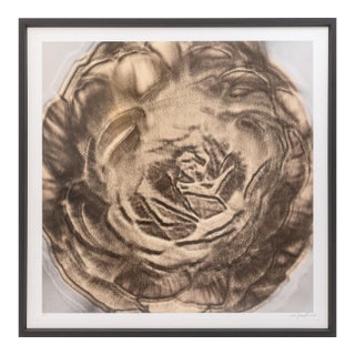 Lisa Spindler Untitled Rose Series I 2024 Signed Contemporary Photograph 1/10 For Sale