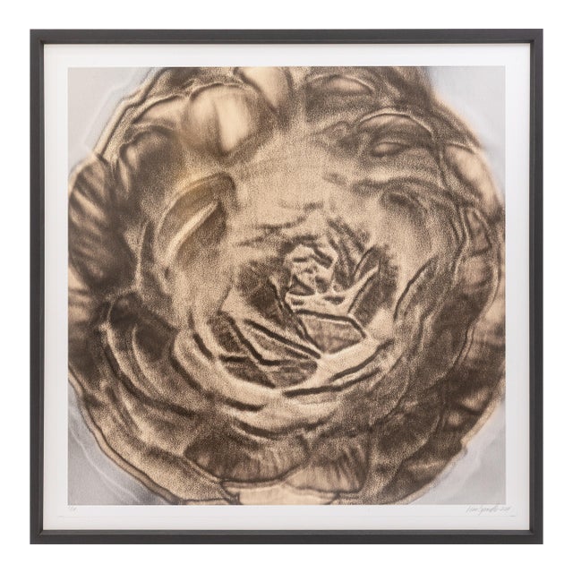 Lisa Spindler Untitled Rose Series I 2024 Signed Contemporary Photograph 1/10 For Sale