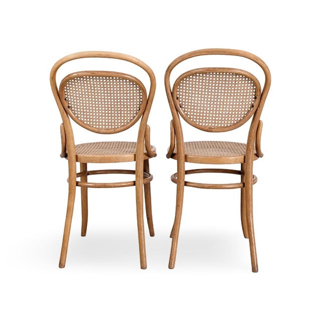 Mundus Bentwood Chairs from J & J Kohn & Mundus, Set of 2 For Sale - Image 5 of 10