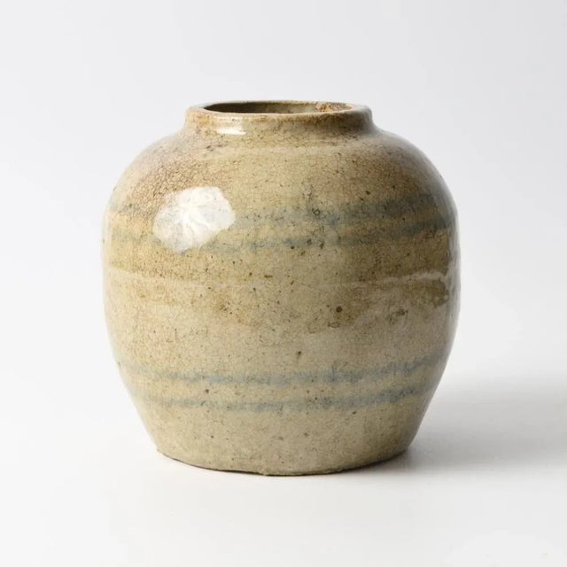 Ceramic Chinese Ceramic Ginger Jar, 1800s For Sale - Image 7 of 7