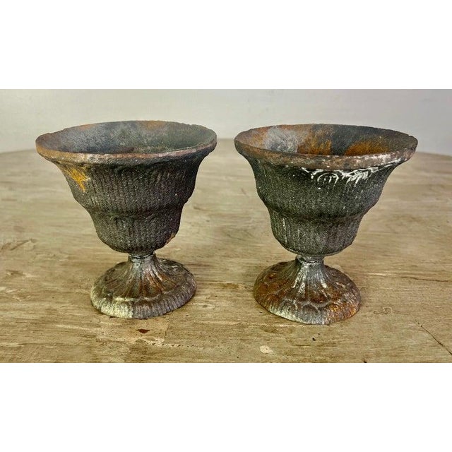 French Pair of Petite French Cast Iron Urns For Sale - Image 3 of 10