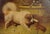 English 19th Century Painted Tôle Tray Depicting Playful Dogs and Turtle Doves For Sale - Image 9 of 11
