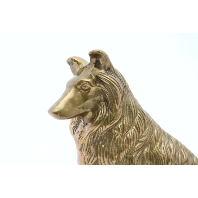 Late 20th Century Vintage Brass Collie Figurine For Sale - Image 5 of 8