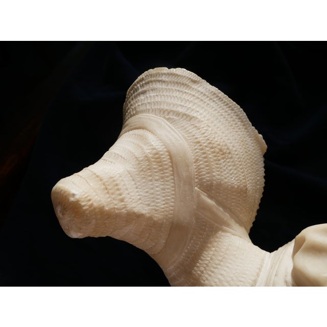 Early 20th Century Marble Bust of a Young Girl Sculpture For Sale - Image 13 of 15
