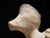 Early 20th Century Marble Bust of a Young Girl Sculpture For Sale - Image 13 of 15