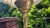 Brass Table Lamp, 1890s For Sale - Image 6 of 9