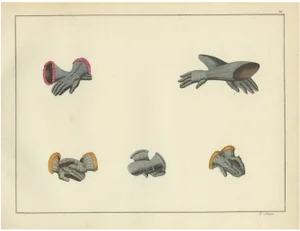 Medieval Gauntlets and Arm Defenses, 1842, Lithograph