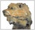 Figurative 1990s Bear Bust, Sherry Salari Sander For Sale - Image 3 of 6