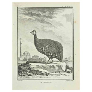 Catherine Haussard, La Peintade, Etching, 1771 For Sale