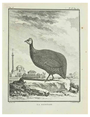 Catherine Haussard, La Peintade, Etching, 1771