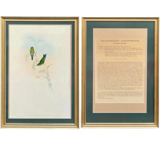 Pair of Framed 19th Century John Gould Hummingbird Hand Colored Lithograph & Text Leaf For Sale In Columbus - Image 6 of 12