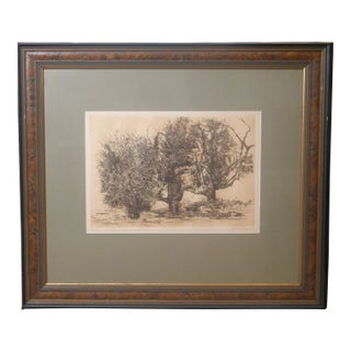1960s Aubrey Schwartz - "Trees" Framed Limited Edition Etching (#188/210) (1965) (American) For Sale
