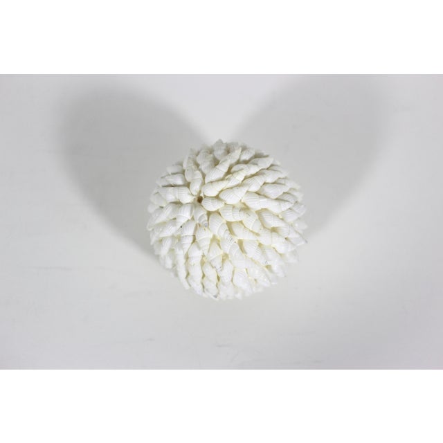 1980s Vintage Decorative Shell Ball Sphere For Sale - Image 5 of 6
