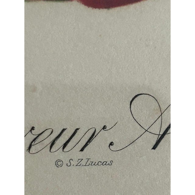 Sidney Zoltan Lucas, Fruits, 1890s-1910s, Lithographs, Set of 2 For Sale - Image 7 of 12