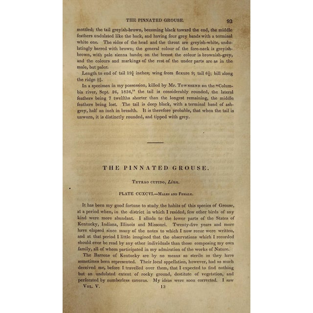 Mid 19th Century Audubon "Pinnated Grouse", an Original Audubon Hand-Colored First Edition Lithograph, 1840 For Sale - Image 5 of 5