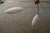 1950s Chandelier in the style of Lunel, 1960s For Sale - Image 5 of 12