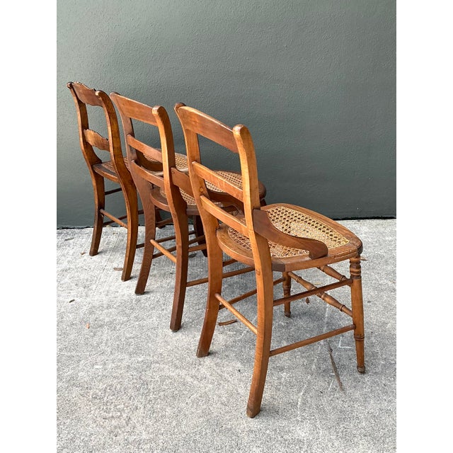 Wood Vintage Collection of Cane Seat Chairs - Set of 3 For Sale - Image 7 of 12