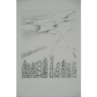 Gochka Charewicz, La vallée perdue, Lithograph For Sale