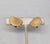 Napier Vintage Signed Napier Goldtone Shell Shaped Clip Earrings-2 Pieces For Sale - Image 4 of 7