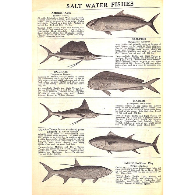 Abercrombie & Fitch 1929 Sportsmans' Catalogue For Sale - Image 14 of 14
