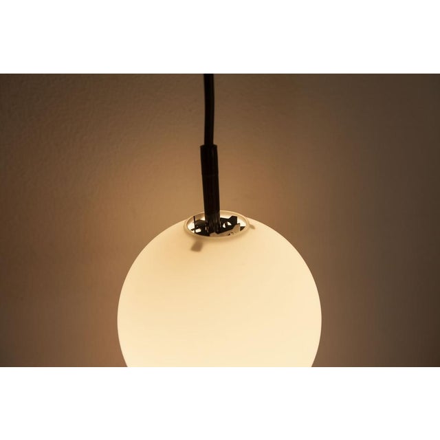 Opaline Glass Ceiling Lamps with Black Tulip Cone Cords, 1960s, Set of 6 For Sale - Image 6 of 18